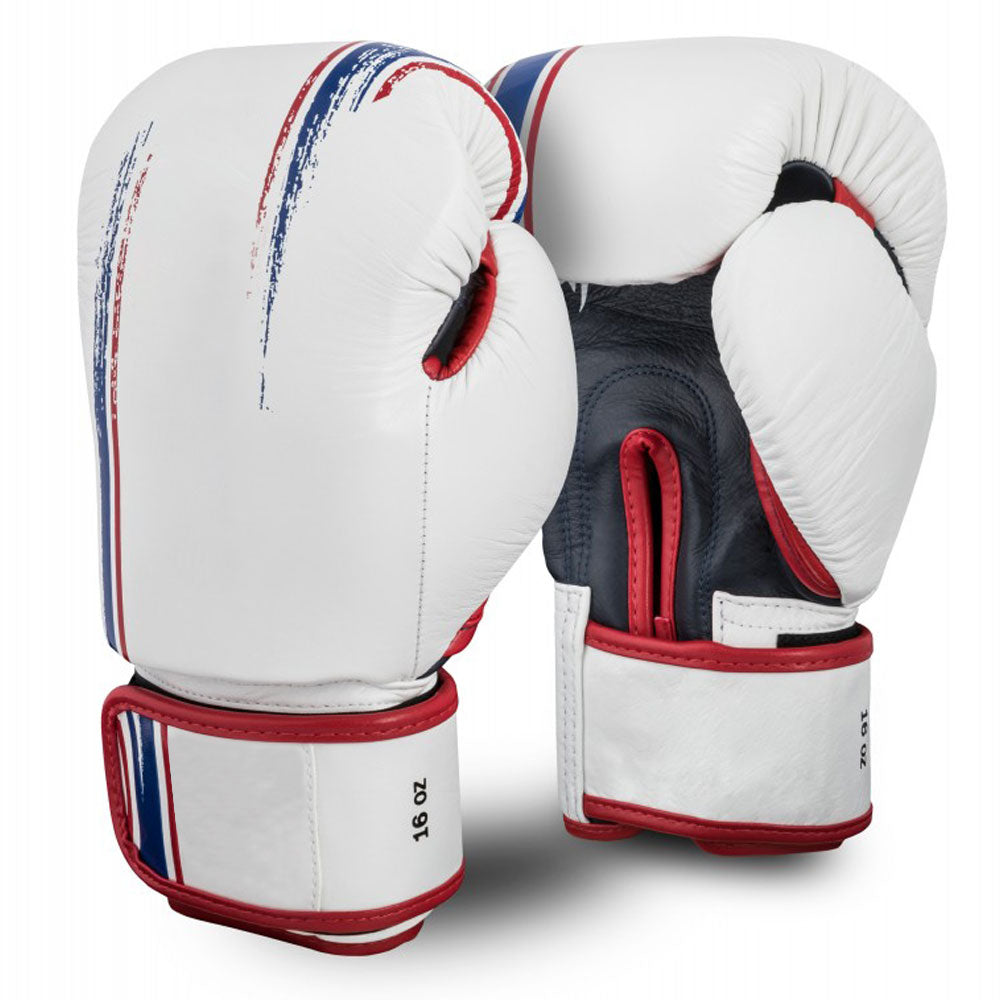 Multicolor Boxing Gloves