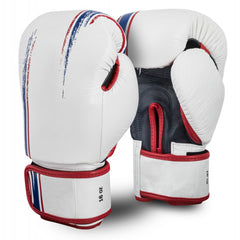 Multicolor Boxing Gloves