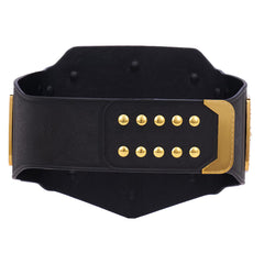WWE Undisputed Championship Commemorative Title Belt